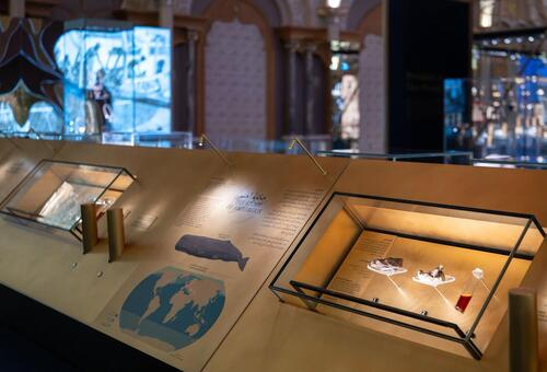 Qasr Al Watan