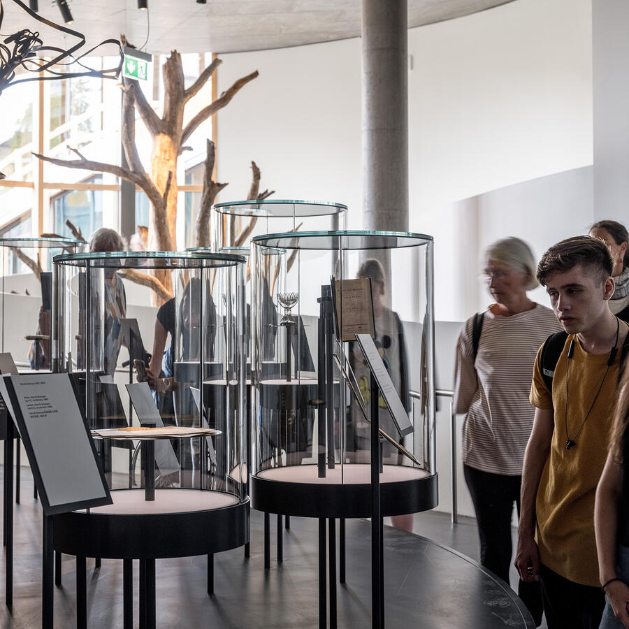 Vitrines cloches rondes sur tables avec des pieds fins